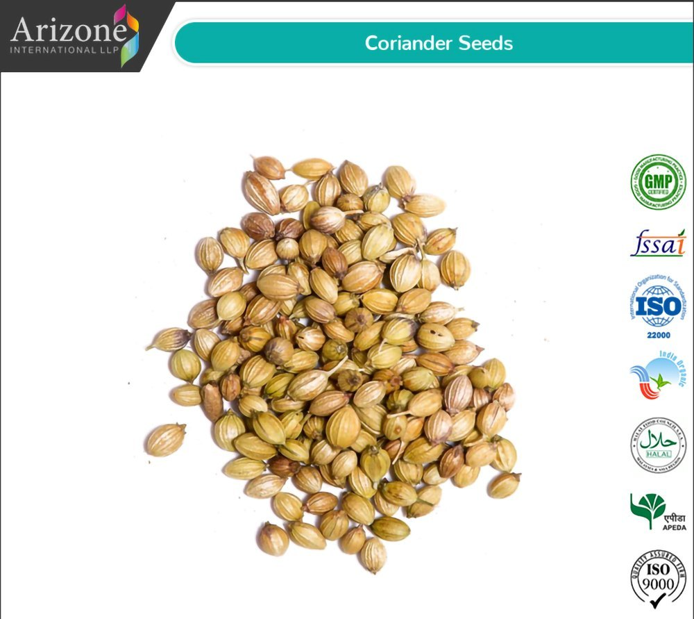 Arizone Dried Coriander Seeds, For Spices, Packaging Type: PP Liner Bag img