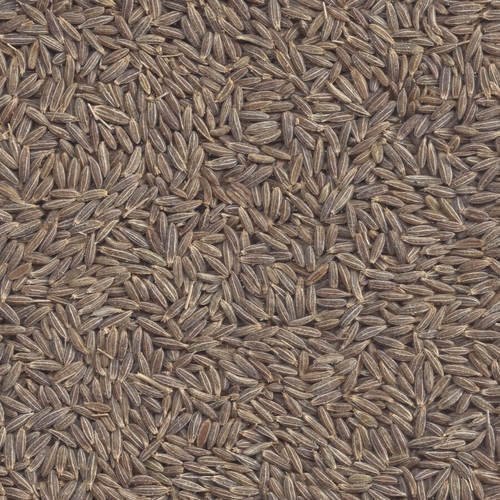 Natural Cumin Seed Singapore 98%, Packaging Type: pp beg