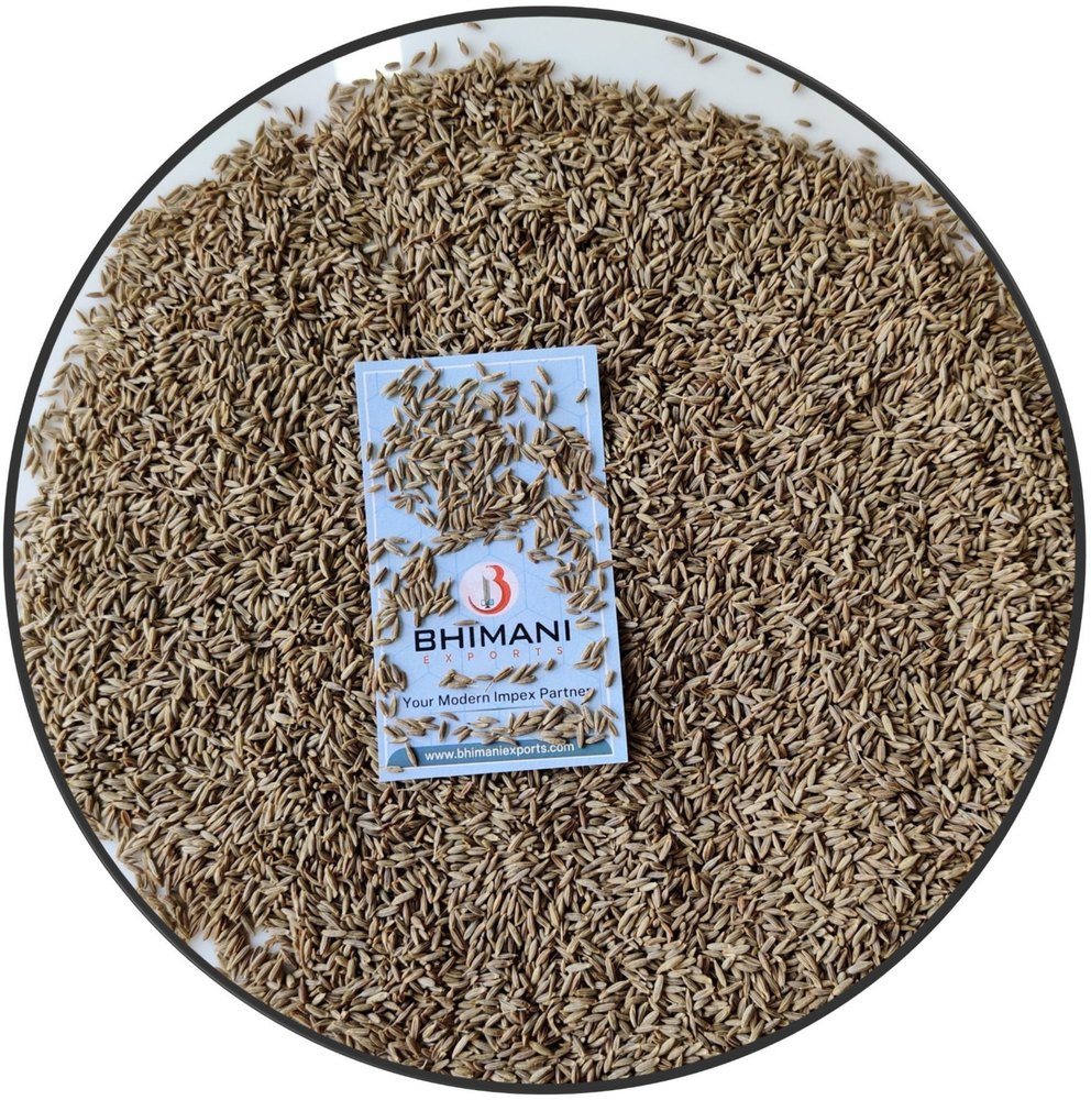 Brown Cumin Seeds Singapore 99, 20 kg, Packaging Type: Gunny Bag img