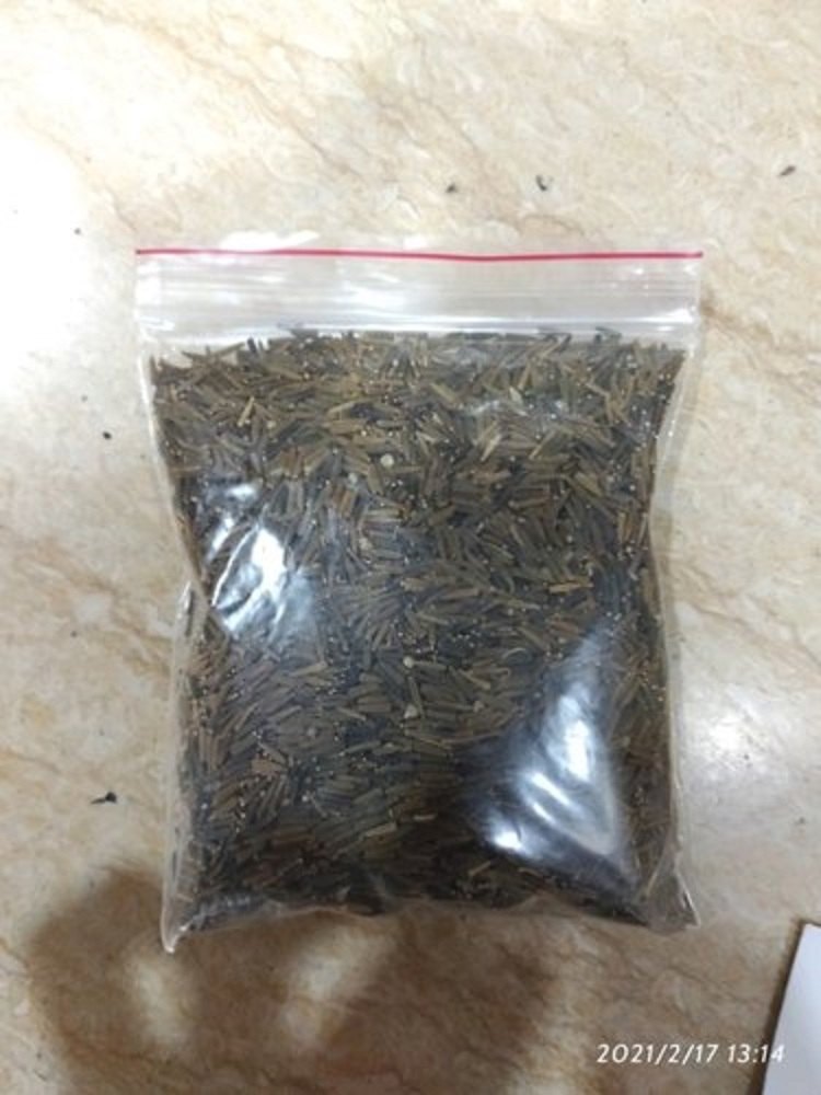 Maseto Black Jeera, Packaging Type: Packet, Packaging Size: 1 Kg