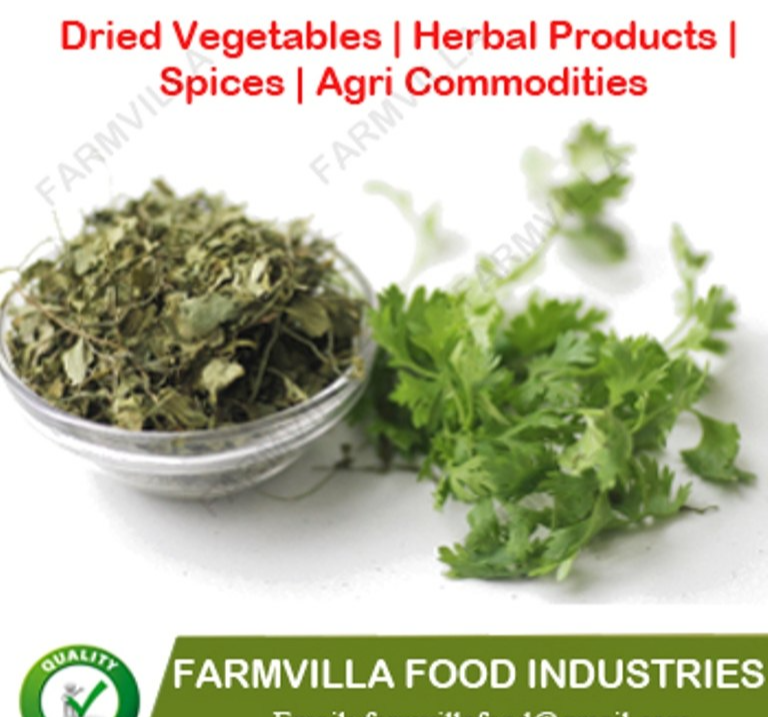 Dehydrated Coriander Leaves, Packaging Size: 10 Kg