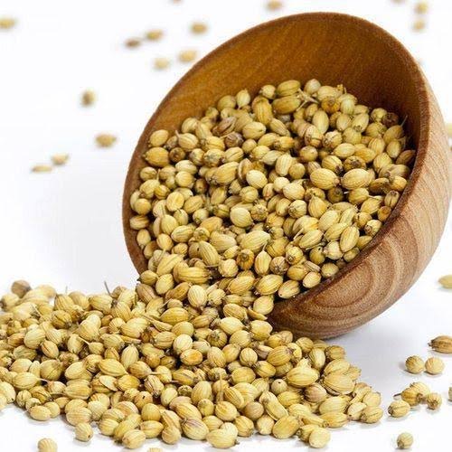 Green Coriander Seed, Packaging Size: 25 Or 40 Kg PP Bag
