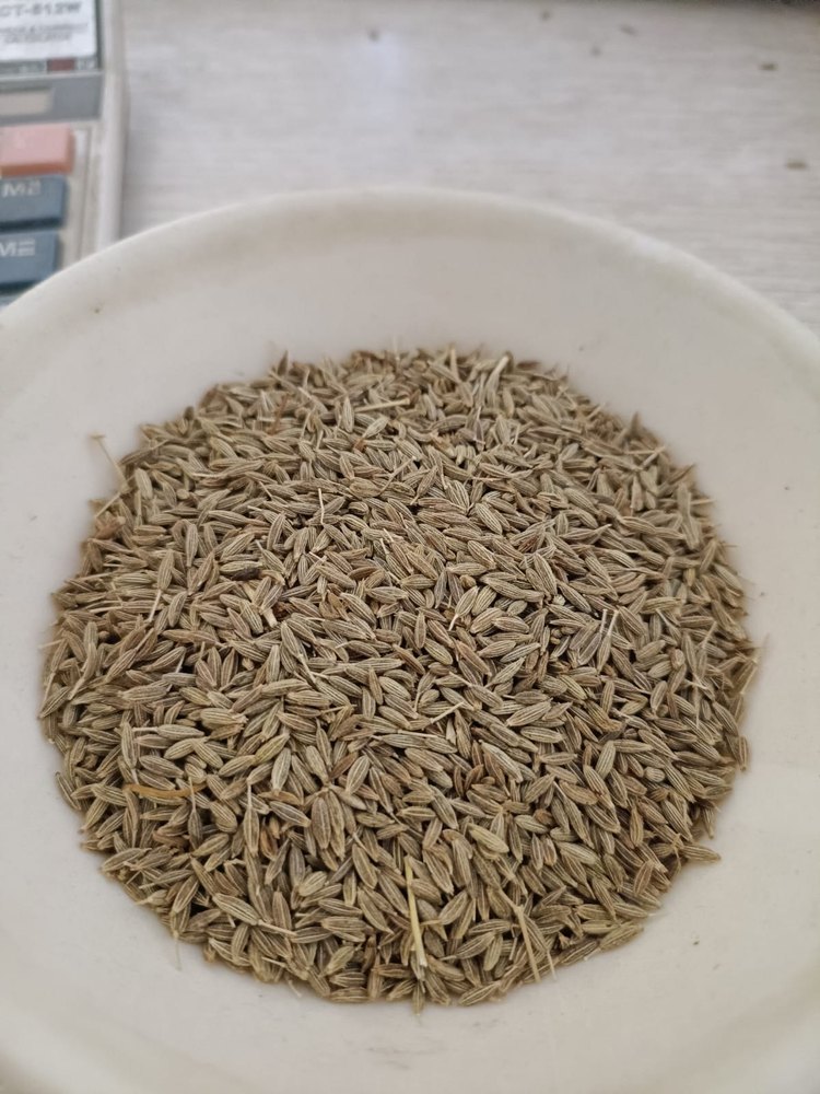 White Cumin Seeds, 30kg