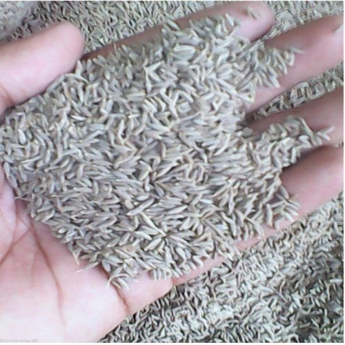 White Cumin Seeds, Packaging Type: Packet, Packaging Size: 500 g img