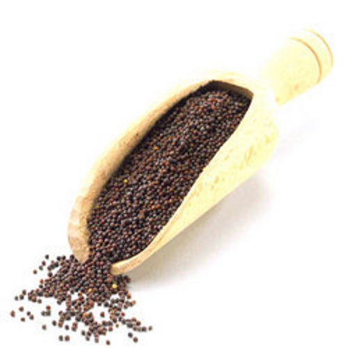 Kabira 50 Kg Brown Mustard Seeds