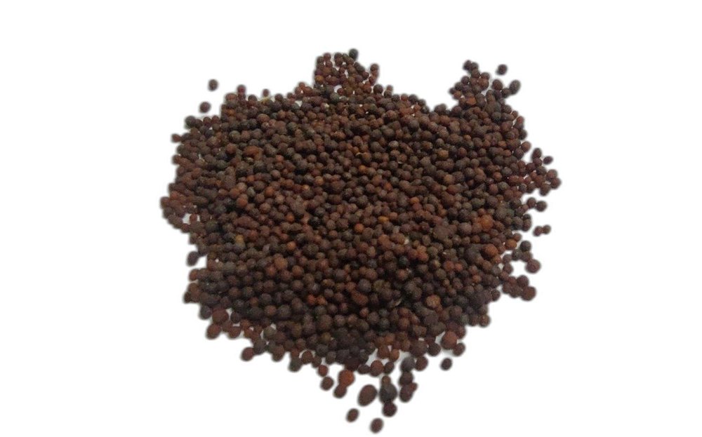 Black Brown Mustard Seeds