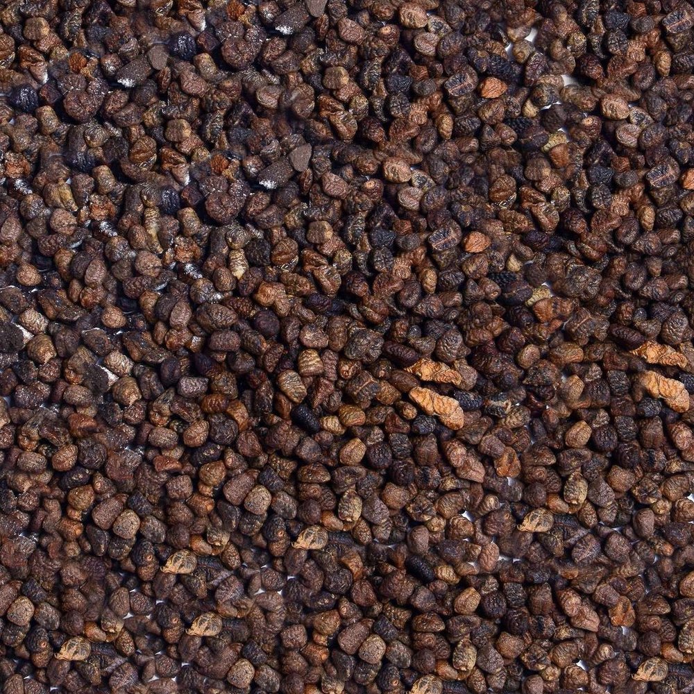 Spices Big Cardamom Seeds