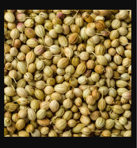 Natural Brown Organic Coriander Seed, For Health Benefit, Cooking