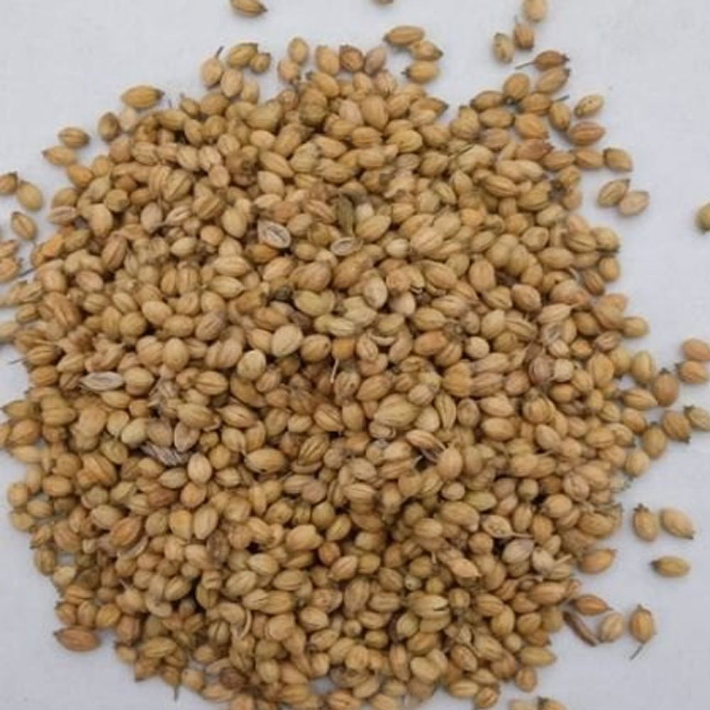 Dried Brown Organic Coriander Seeds, For Cooking