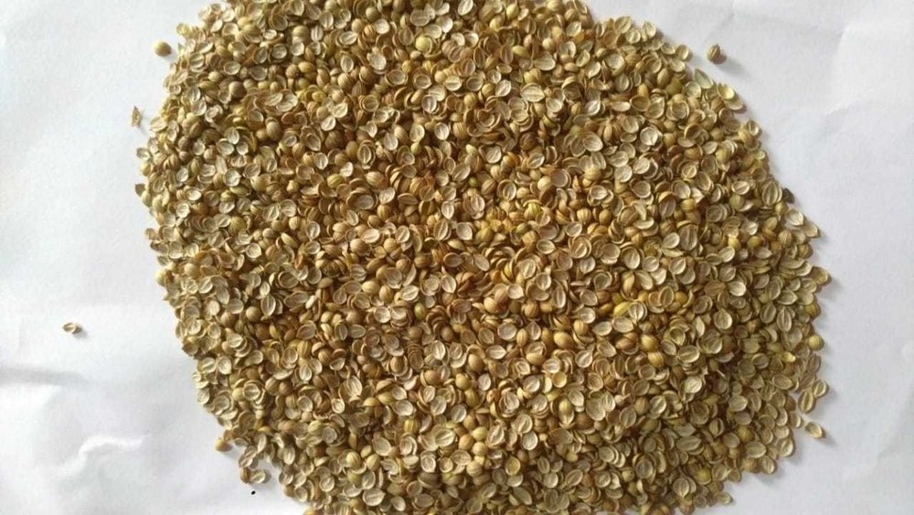 Natural Green Split Coriander Seed, For Food