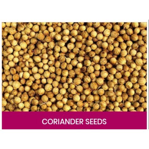 Worldliveexports Brown Organic Coriander Seed, 1 Kg, Packaging Type: Packet
