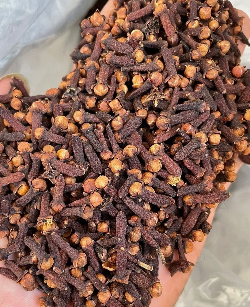 Black And Brown Organic Cloves Seed