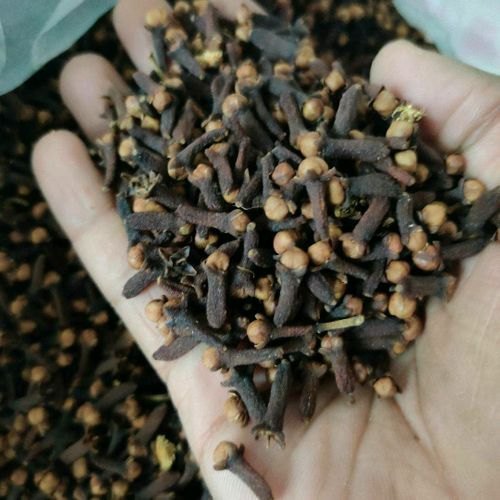 Brown Whole Clove Indian Spice, Packaging Size: 10 Kg