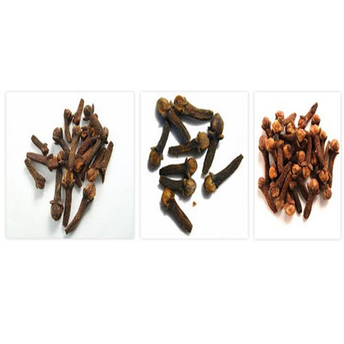 TMM Clove Seed, For Spice, Pack Size: 50 Kg Bag