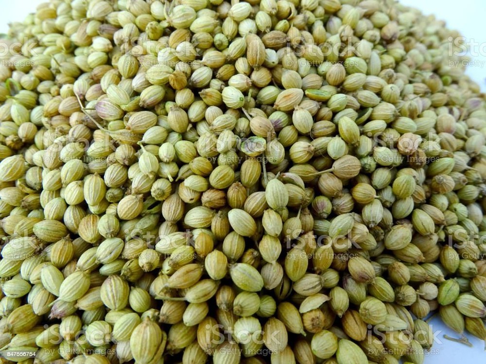 Brown Hybrid Coriander Seeds, For Cooking