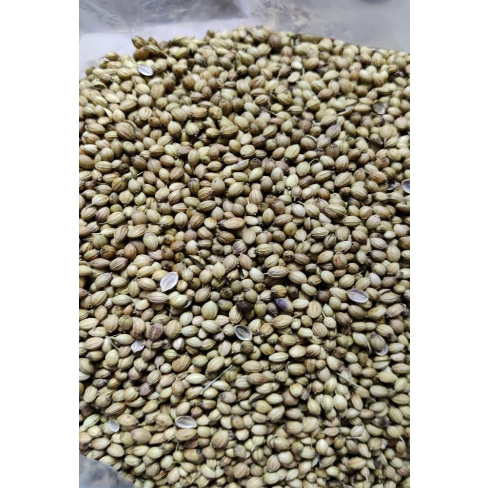 Brown Coriander Seed, Packaging Type: Gunny Bag, Packaging Size: 25 Kg img