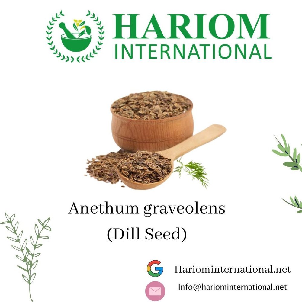 Brown Dried Dill Seeds, Packaging Type: Loose