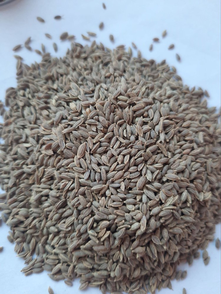 Viyara Spices Brown Dill Seeds Suva, Packaging Type: Packet img