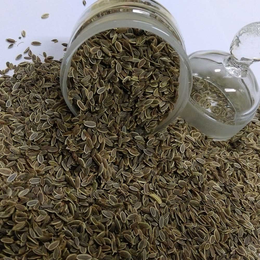 Laxmi Brown Dill Seeds, Packaging Type: Gunny Bag