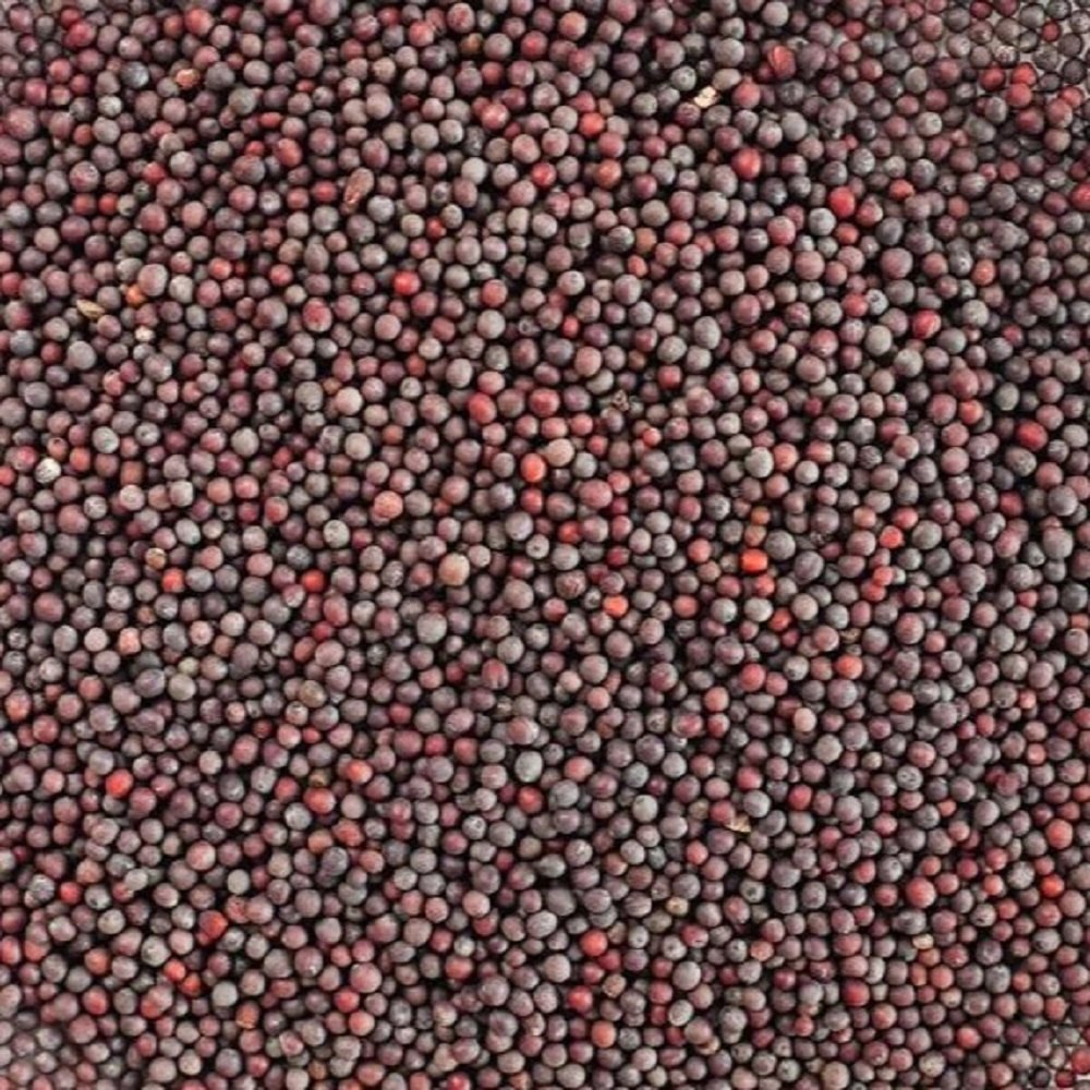 Dried Black Natural Red Mustard Seeds, For Cooking