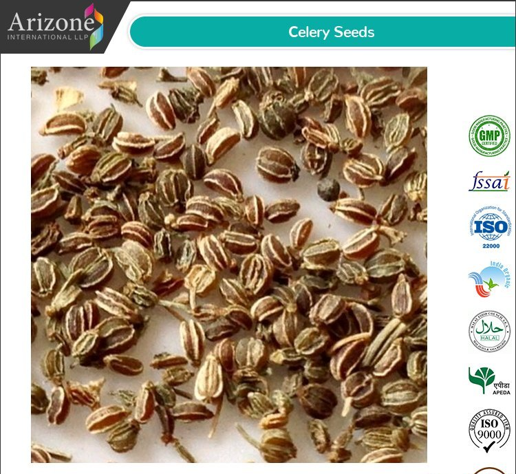 Arizone Celery Seeds, Packaging Type: PP Bag, Packaging Size: 25kgs