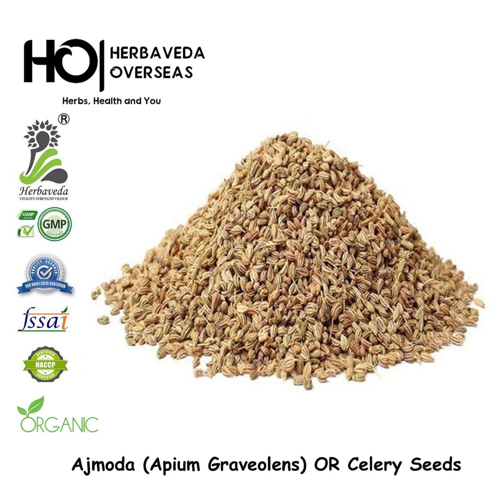 HERBAVEDA Brown Ajmoda Wild Celery Seed, Packaging Type: Plastic, Pack Size: 1 Kilogram