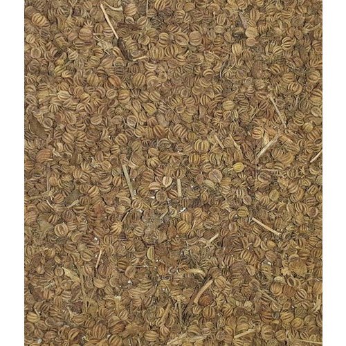 5 Year Ajmoda Seeds, Packaging Size: 40kg