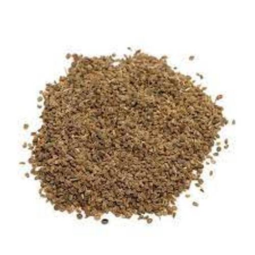 SHIVAY brown Celery Seed Extarct, Packaging Type: POLY BAG, HDPE DRUM, Packaging Size: 1 KG TO 50 KG