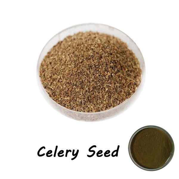 Celery Seed Powdered Extract, Packaging Type: HDPE Bag, Packaging Size: 5 KG
