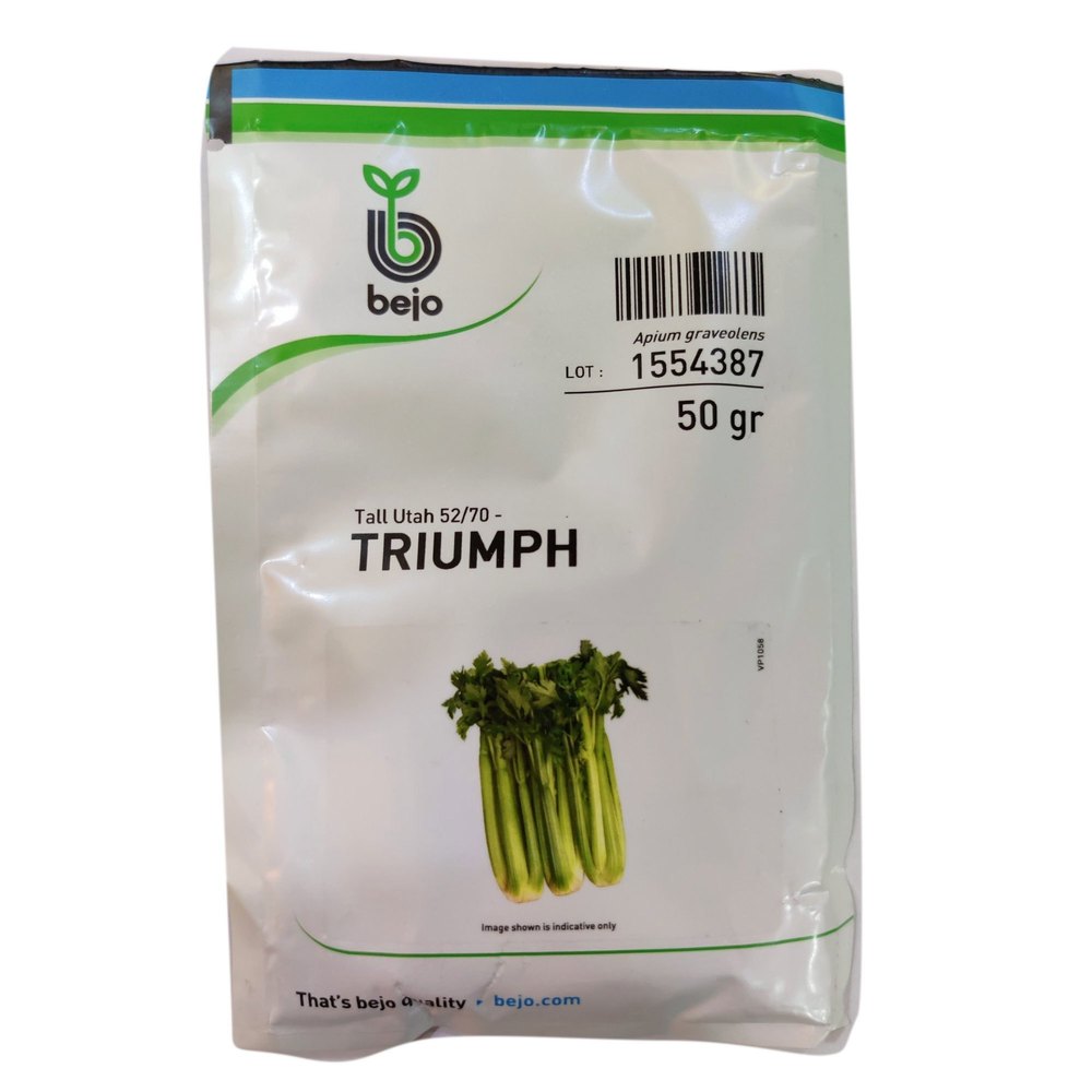 Hybrid Bejo Celery Triumph Seeds, Packaging Size: 50g, Packaging Type: Packet