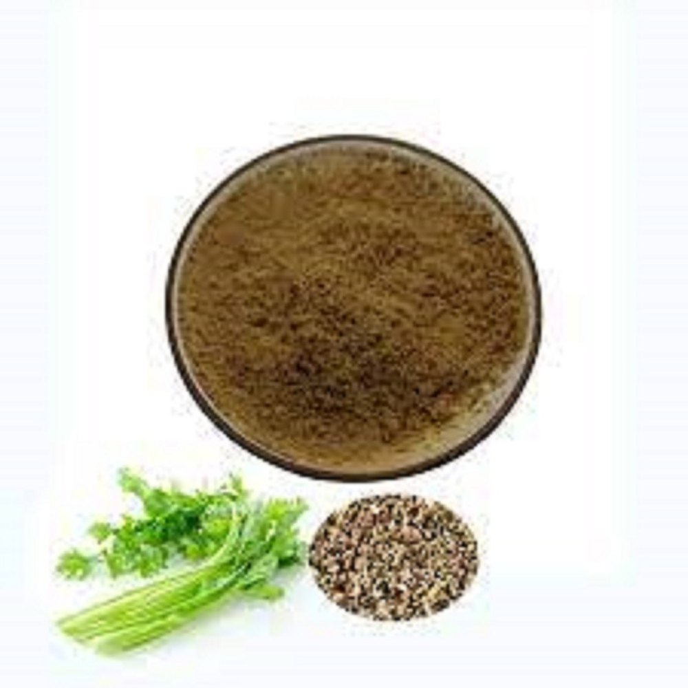 Yellowish-brown Celery Seed Extract, Packaging Size: 25 Kg
