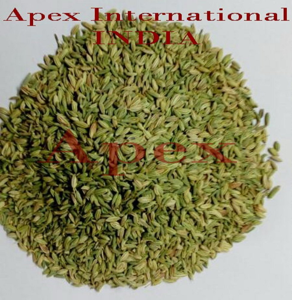 Apex Organic Fennel Seeds, For Bulk Supply, Pack Size: 50Kg img
