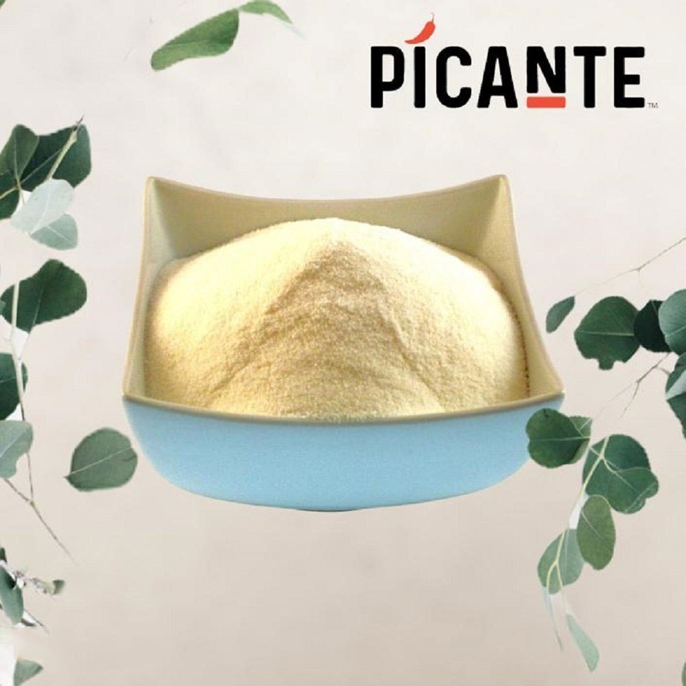 Picante Chicken Broth Powder, Packaging Size: 1kg, Packaging Type: Loose