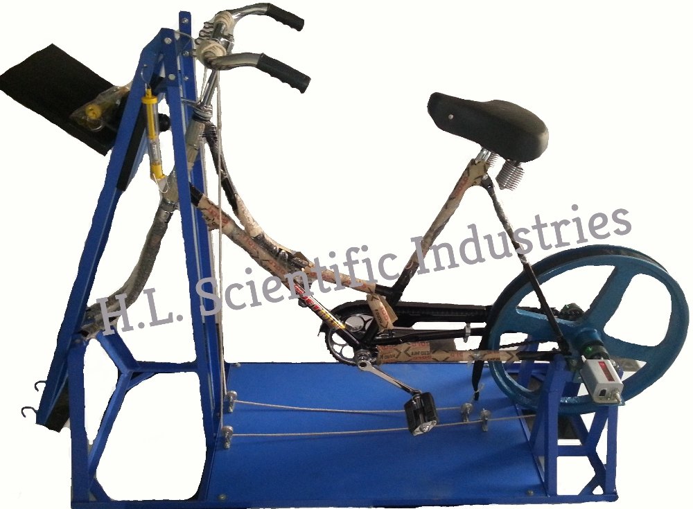 Physilab Bicycle Ergo Graph, For Laboratory