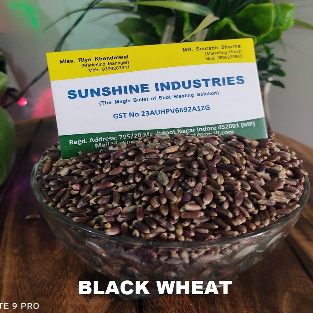 Black Wheat Seed