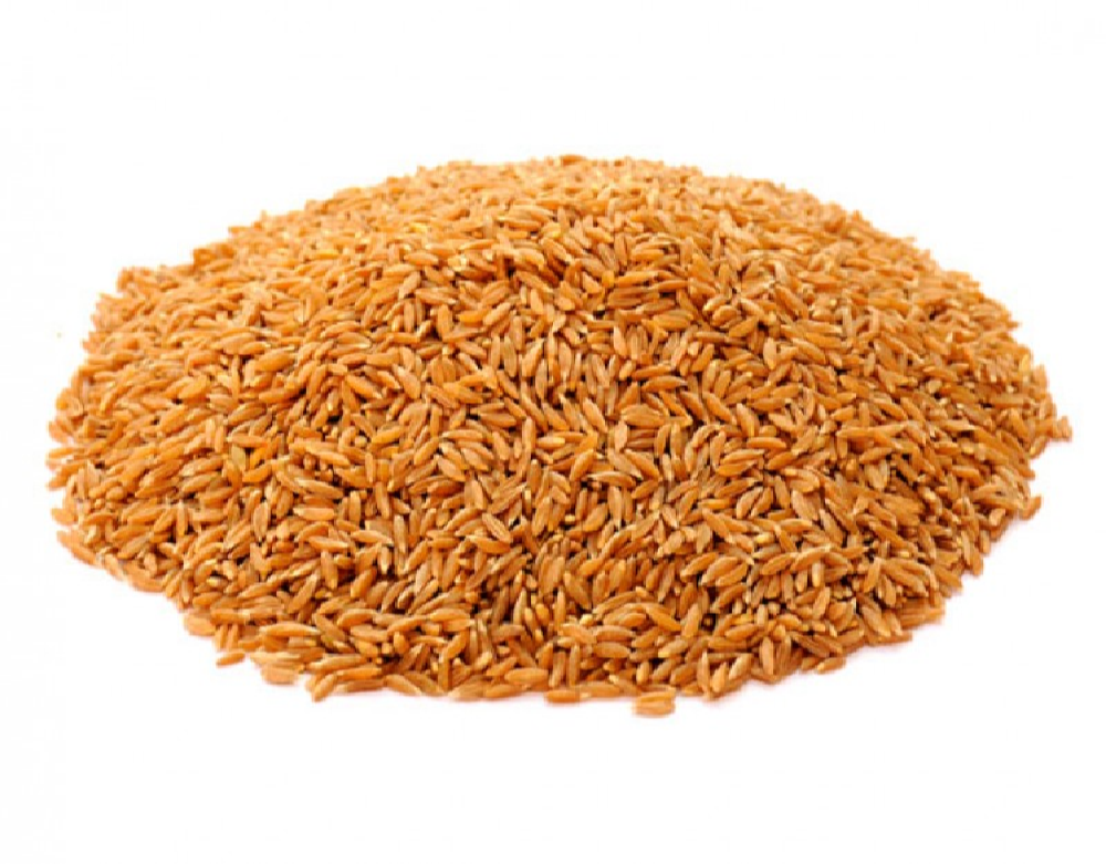 Golden Khapli Wheat Grain