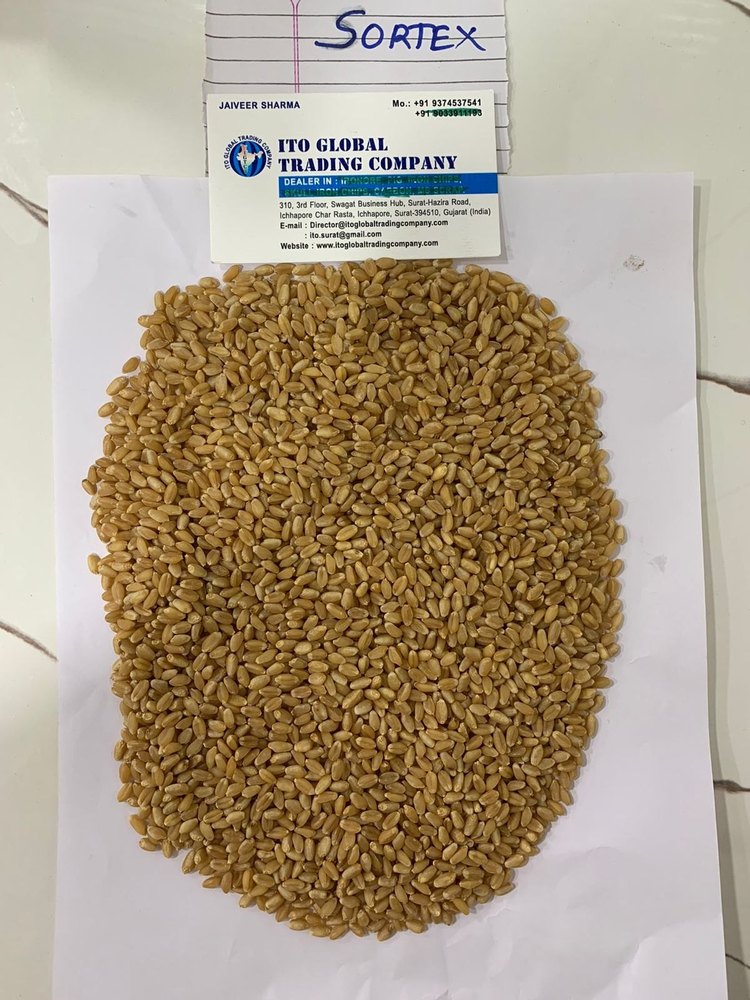 Golden 50 Kg Sortex Durum Wheat