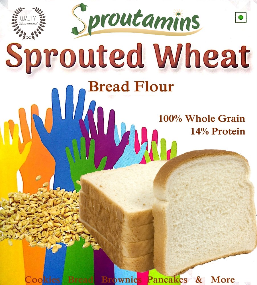 SPROUTAMINS Baking Bread Flour - Enzyme Active, 6 Months, Packaging Size: 1 Kg & Bulk