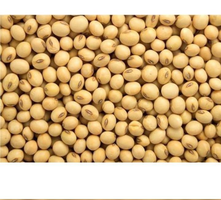 Soyabean, 50 Kg