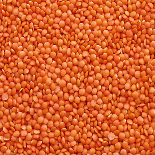 Yellow Masoor Dal, Packaging Size: 50 Kg, High in Protein