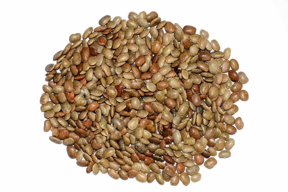 Kulti beans Brown Kulthi Seed, High in Protein, Packaging Size: 30kg