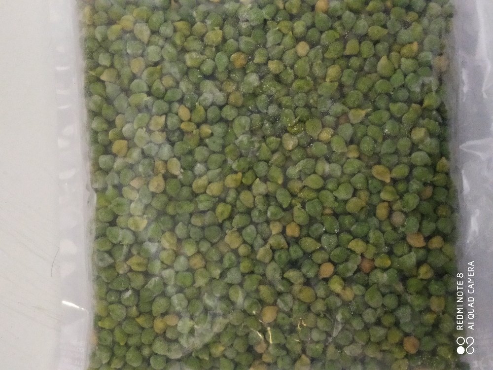 Frozen green chana, Pan India, Packaging Type: Packet