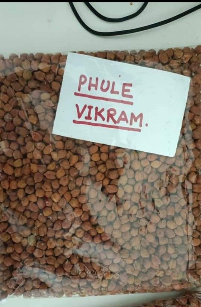 Phule Vikram Chana, Packaging Type: Bag, Packaging Size: 10 KG