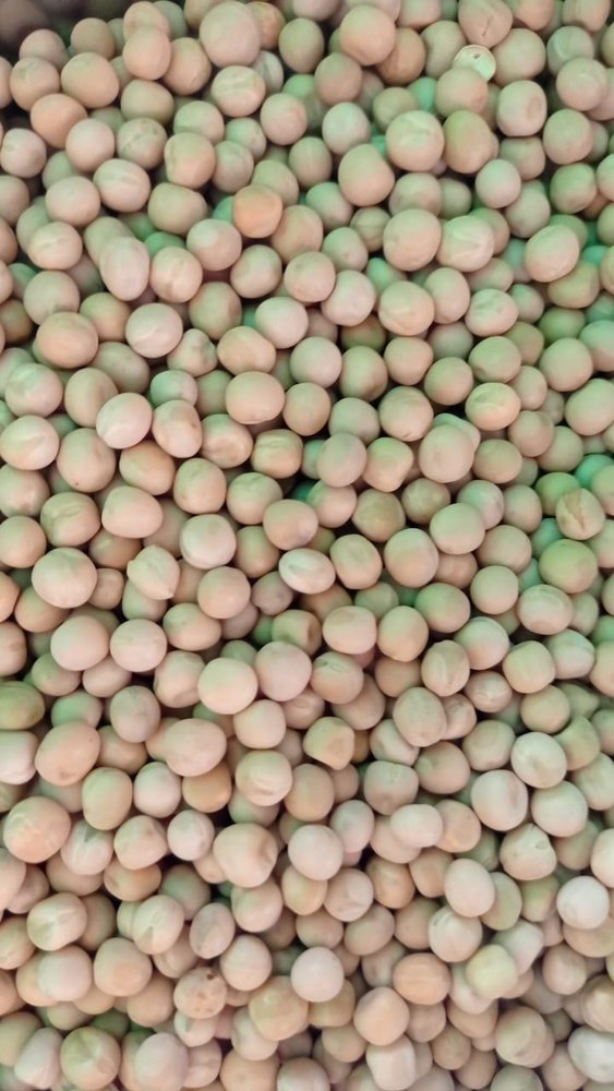 Matar White Pea Beans, High in Protein