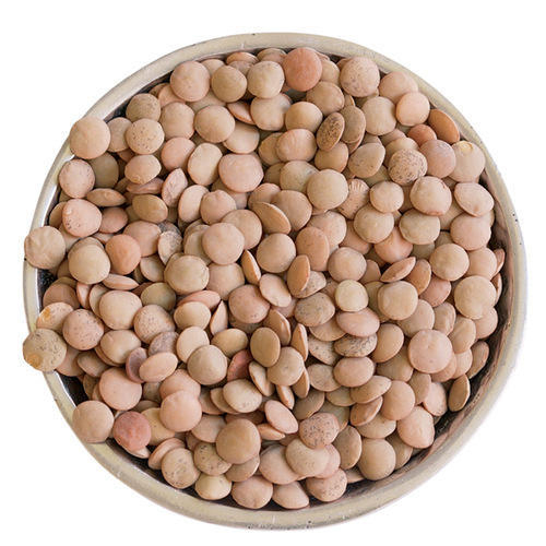 Brown Lentils Beans