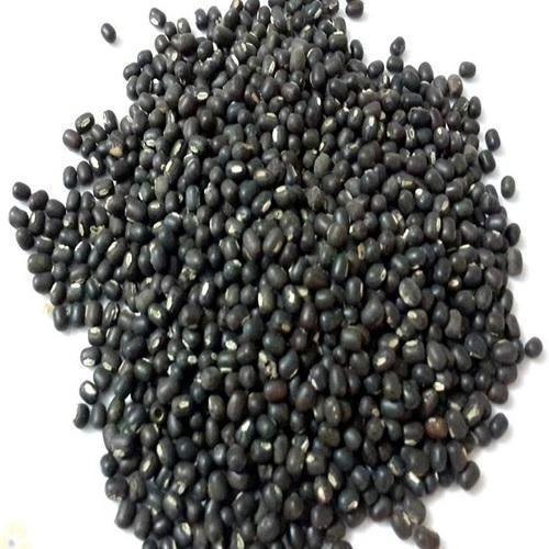 Indian Black Gevda half dal, High in Protein, Packaging Size: 100 Gm - 100 Kg