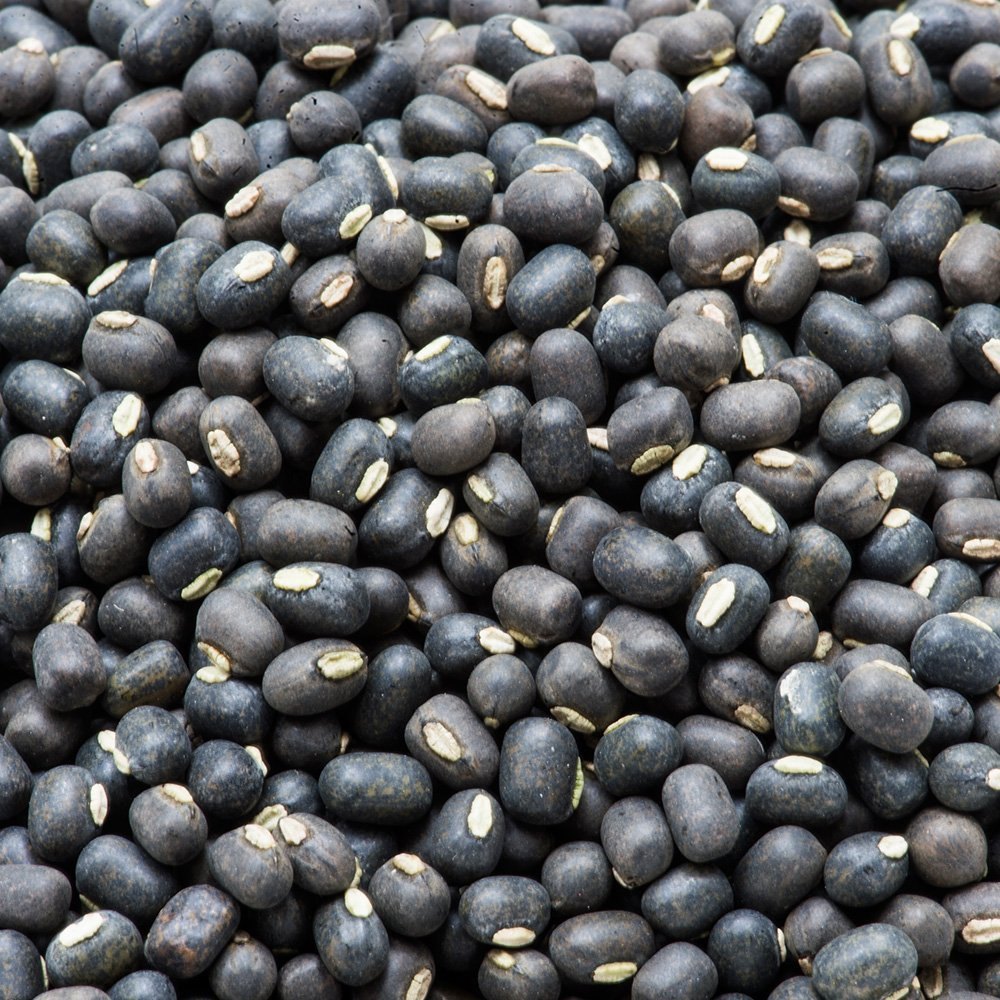 Black Bean Pulses