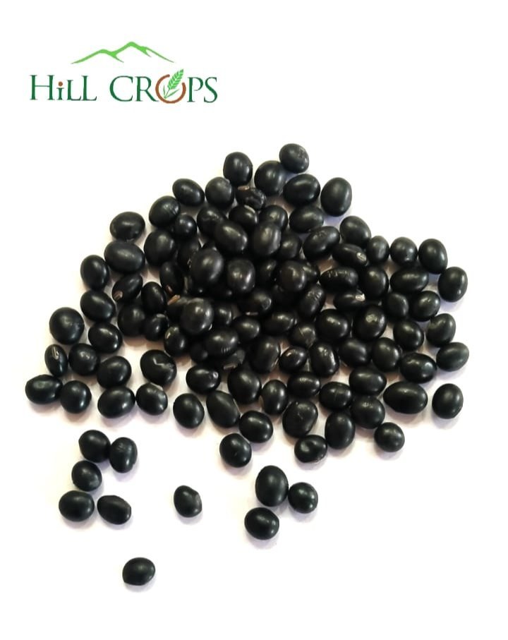 Himalayan Organic Black Soyabean, High in Protein, Packaging Size: 25 Kgs