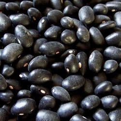 Indian Organic Black Soybean