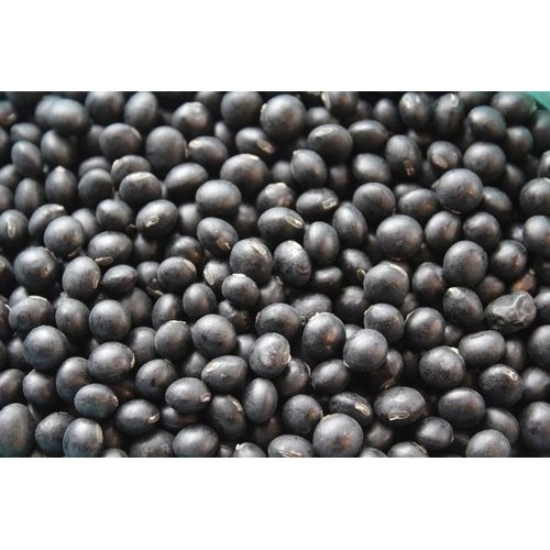 Organic Black Soybean, No Preservatives